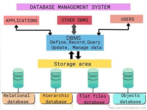 what is mean by dbms.
